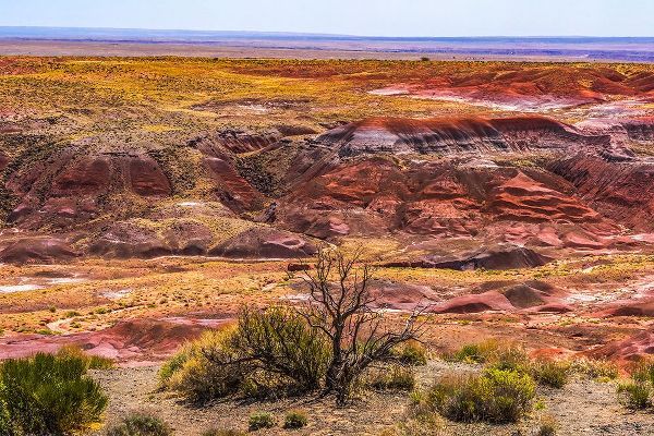 Perry, William 아티스트의 Tawa Point-Painted Desert-Petrified Forest National Park-Arizona작품입니다.